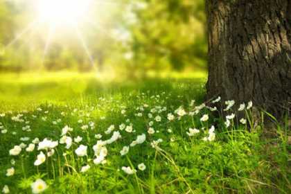 SABAHIN HAVA PROQNOZU