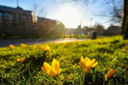 Şənbə gününün HAVA PROQNOZU