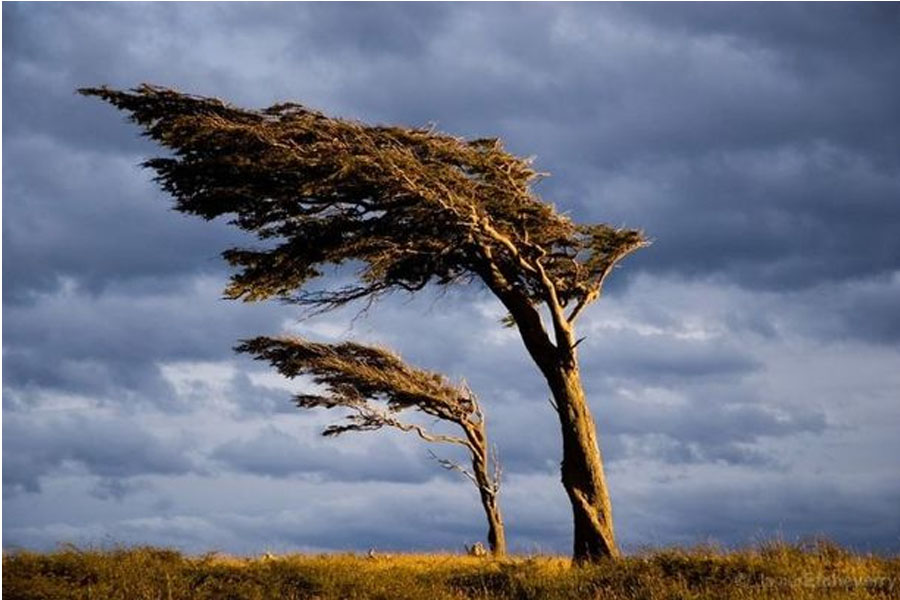 Külək güclənəcək - XƏBƏRDARLIQ