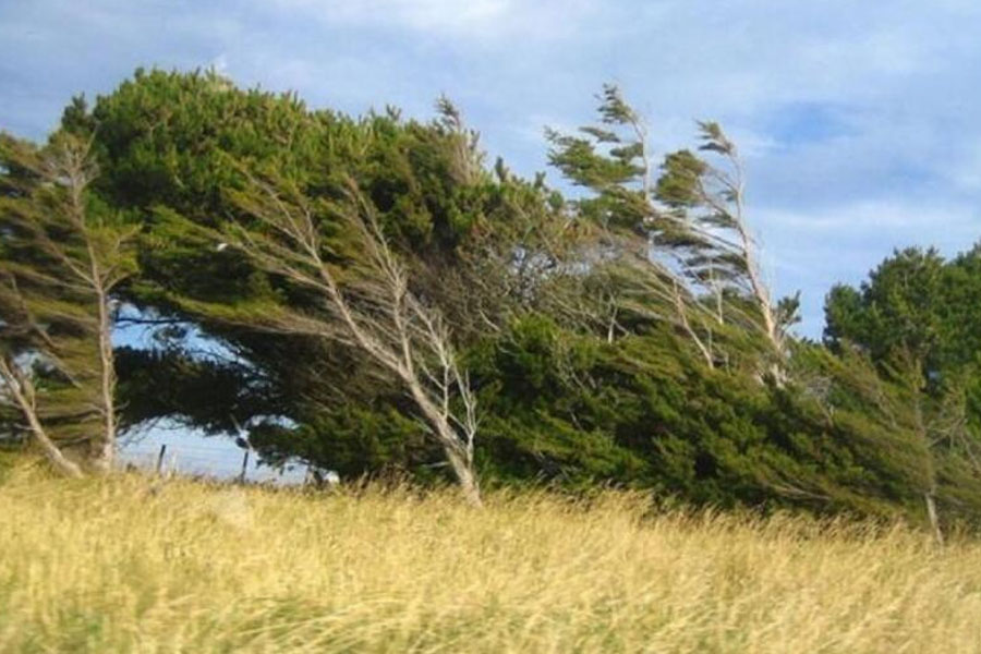 Külək güclənəcək - XƏBƏRDARLIQ