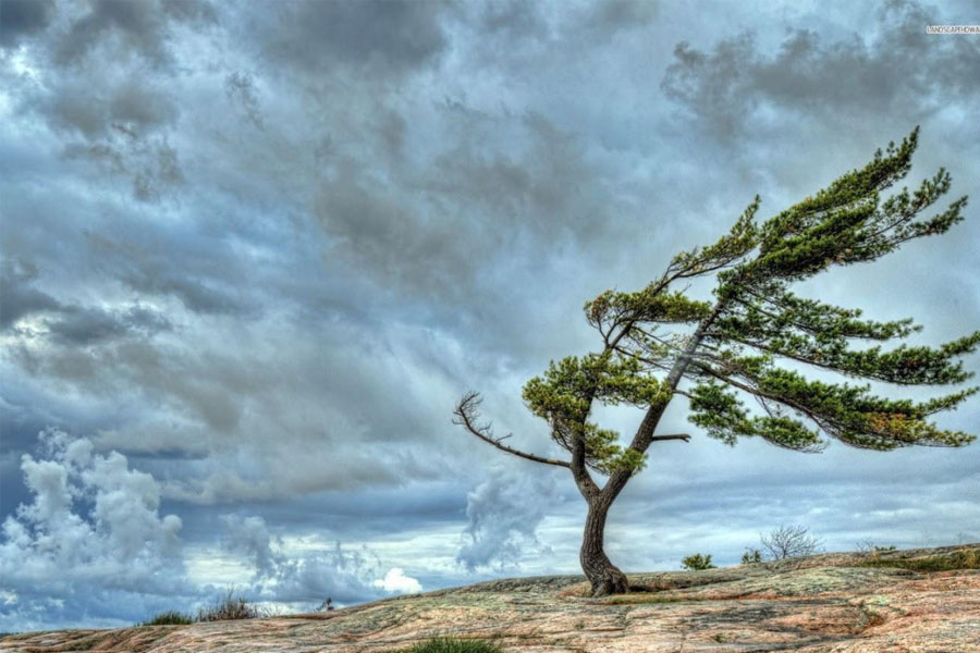 Külək güclənəcək - XƏBƏRDARLIQ