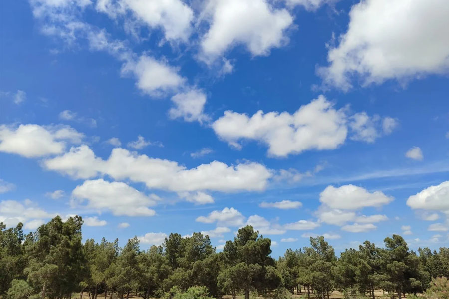 Sabahın hava proqnozu açıqlanıb