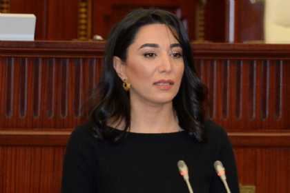 Ombudsmanın “A” statusunun bərpa edilməsi təklif olunur