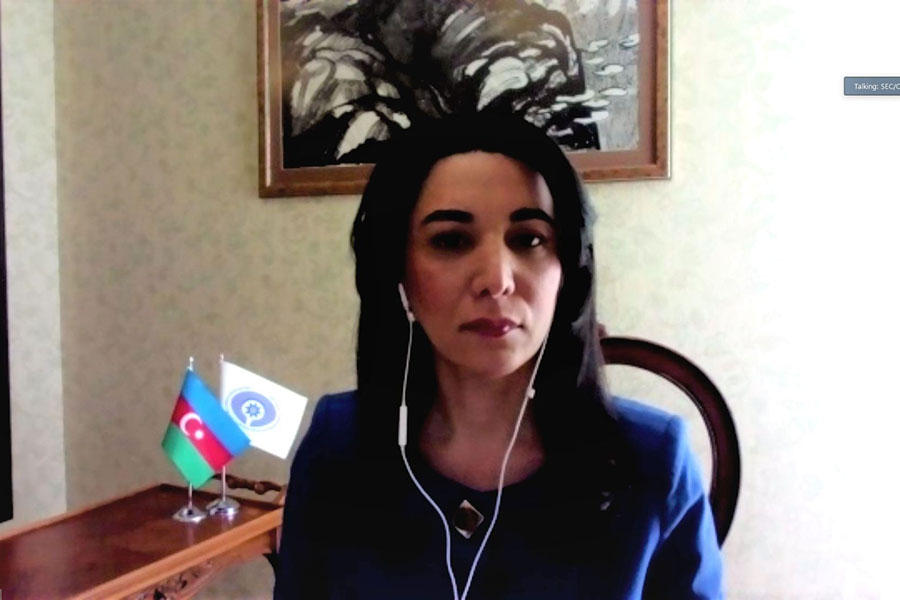 Ombudsmandan Ermənistan nümayəndəsinin iddialarına TUTARLI CAVAB